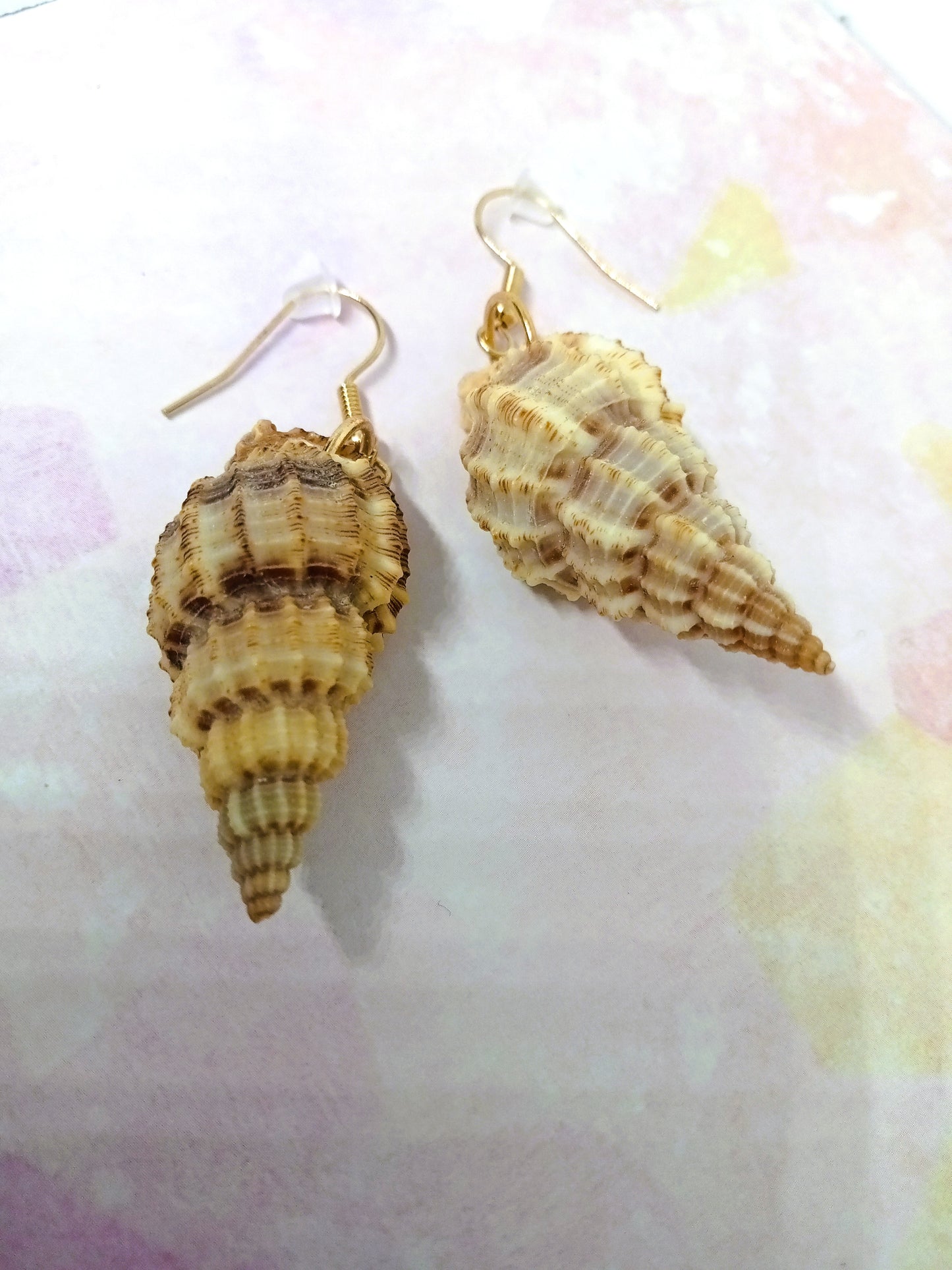 Conch Shell Drop Earrings