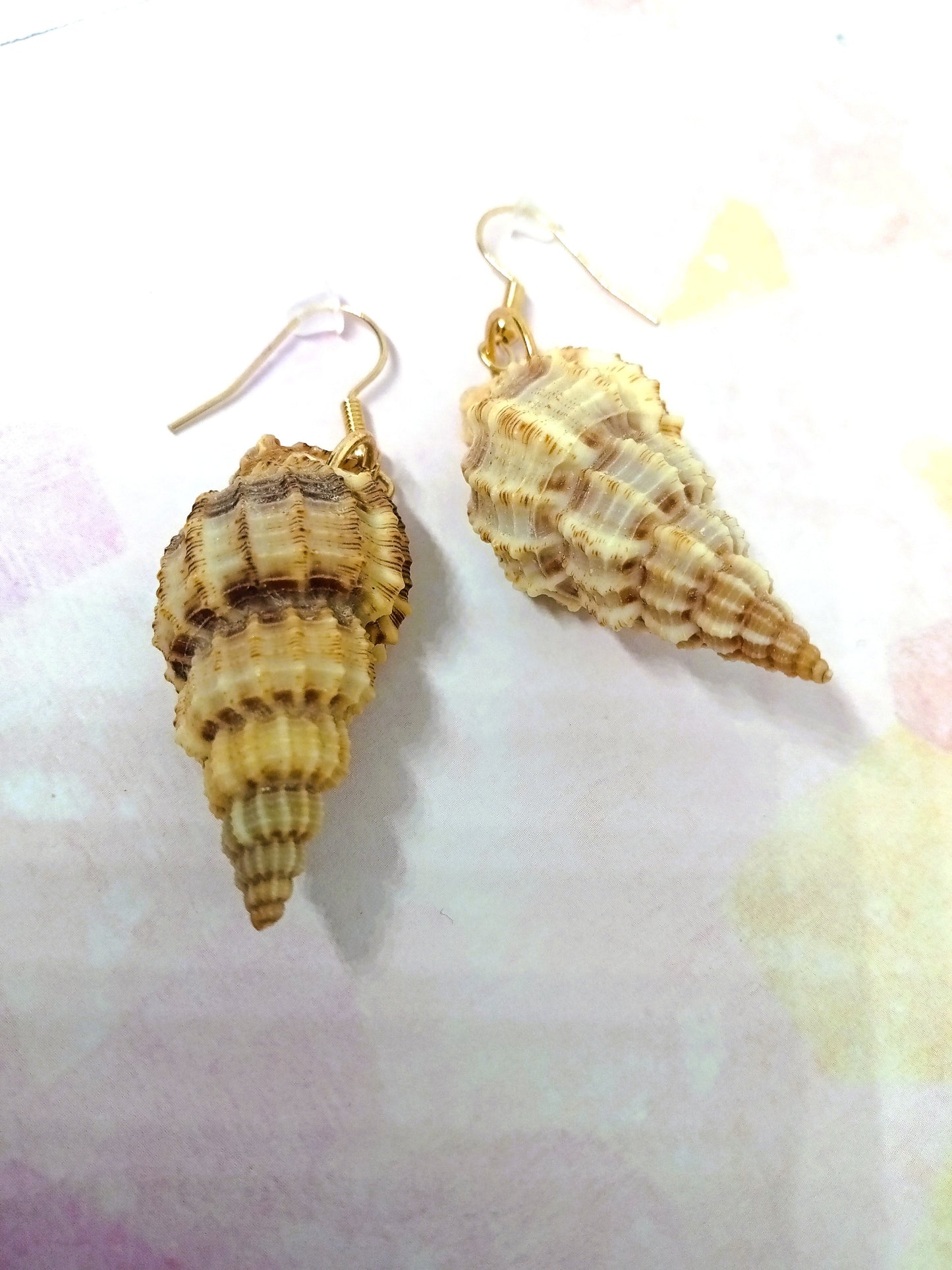 Conch Shell Drop Earrings